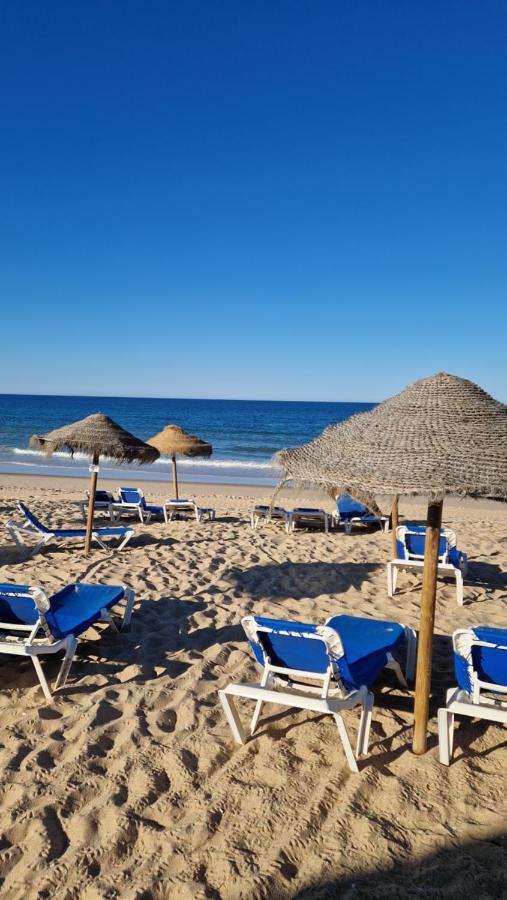 V Srdci Fara Сasa de vacaciones
